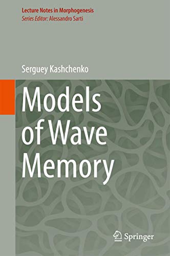 Models of Wave Memory [Hardcover]
