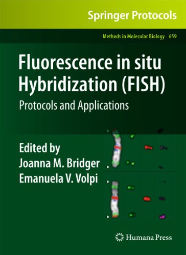 Fluorescence in situ Hybridization (FISH) Protocols and Applications [Hardcover]