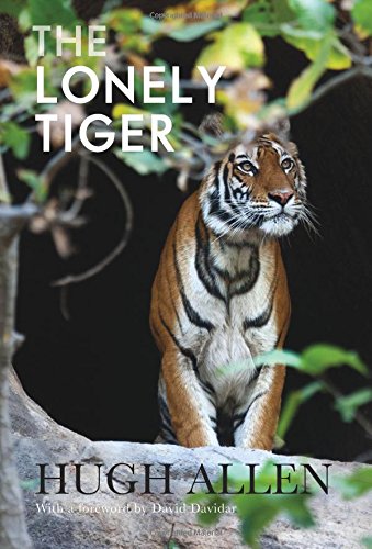 Lonely Tiger [Paperback]