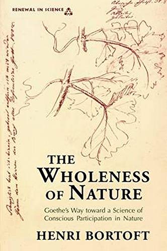 The Wholeness Of Nature  Goethe's Way Toward A Science Of Conscious Participati [Paperback]