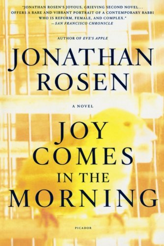 Joy Comes in the Morning A Novel [Paperback]