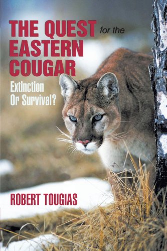 The Quest For The Eastern Cougar Extinction Or Survival [Paperback]
