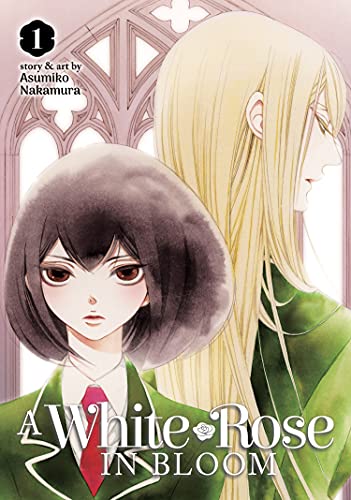 A White Rose in Bloom Vol. 1 [Paperback]