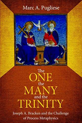 The One, The Many, And The Trinity Joseph A. Bracken And The Challenge Of Proce [Hardcover]