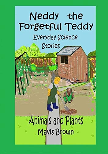 Neddy The Forgetful Teddy Everyday Science Stories