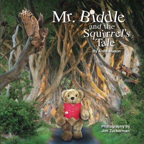 Mr. Biddle And The Squirrel's Tale [Paperback]