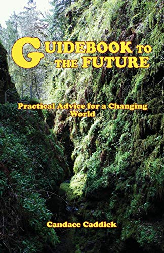 Guidebook To The Future [Paperback]