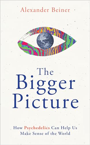 The Bigger Picture How Psychedelics Can Help Us Make Sense of the World [Paperback]