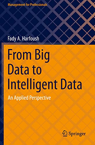 From Big Data to Intelligent Data An Applied Perspective [Paperback]