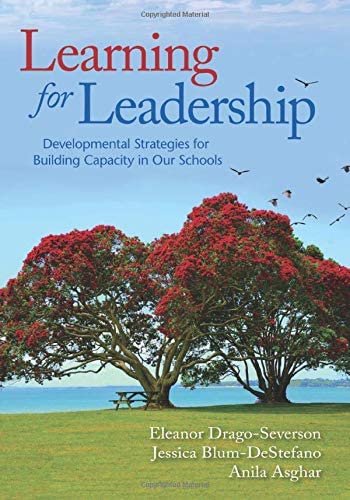 Learning for Leadership Developmental Strategies for Building Capacity in Our S [Paperback]