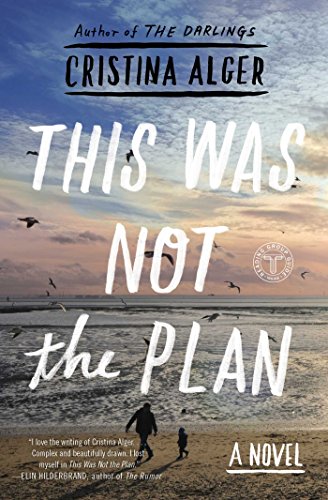 This Was Not the Plan A Novel [Paperback]