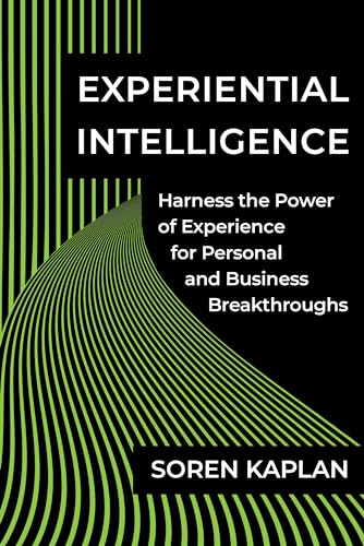 Experiential Intelligence Harness the Power of Experience for Personal and Busi [Hardcover]