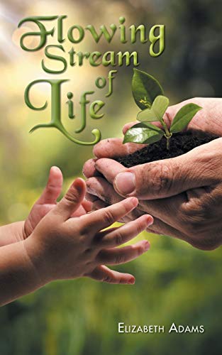 Flowing Stream Of Life [Paperback]