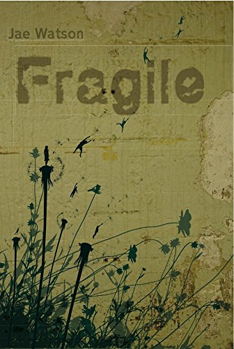 Fragile [Paperback]