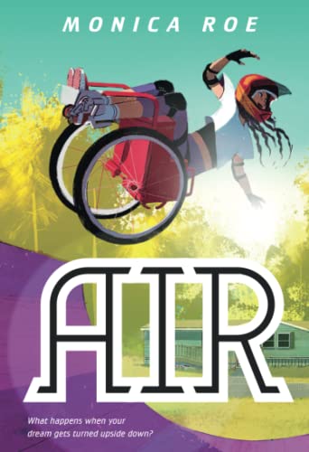 Air A Novel [Paperback]