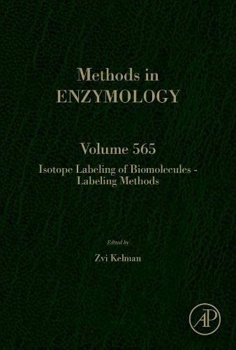 Isotope Labeling of Biomolecules - Labeling Methods [Hardcover]