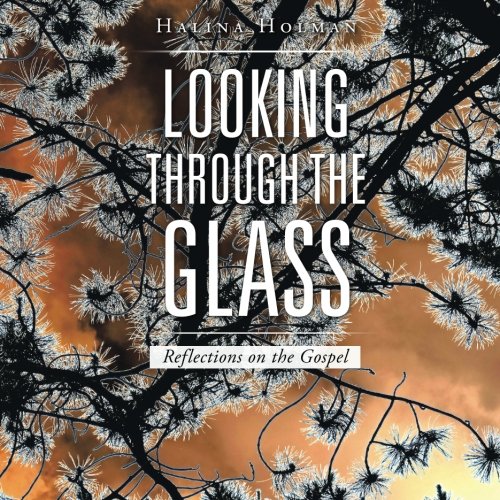 Looking Through The Glass Reflections On The Gospel [Paperback]