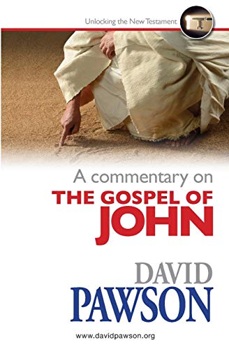 A Commentary On The Gospel Of John [Paperback]