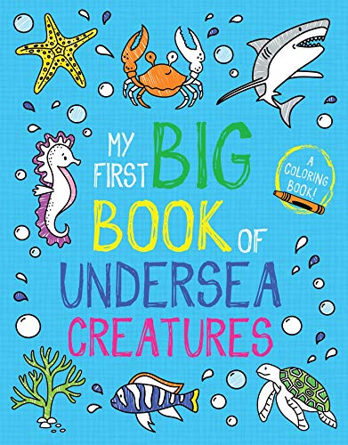My First Big Book of Undersea Creatures [Paperback]