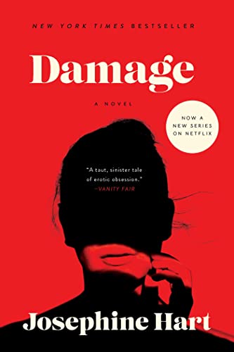 Damage A Novel [Paperback]