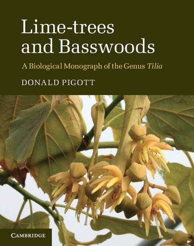 Lime-trees and Basswoods A Biological Monograph of the Genus Tilia [Hardcover]