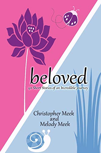 Beloved  40 Short Stories of an Incredible Journey [Paperback]