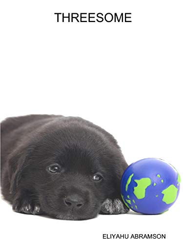 Threesome [Paperback]