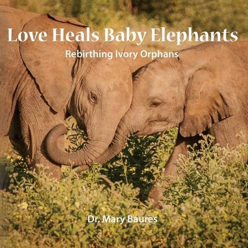 Love Heals Baby Elephants Rebirthing Ivory Orphans [Paperback]