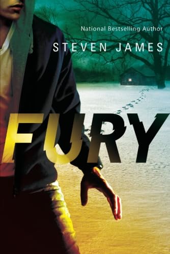 Fury (blur Trilogy) [Paperback]