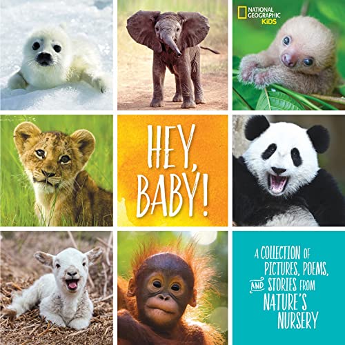 Hey, Baby A Collection of Pictures, Poems, and Stories from Nature's Nursery [Hardcover]