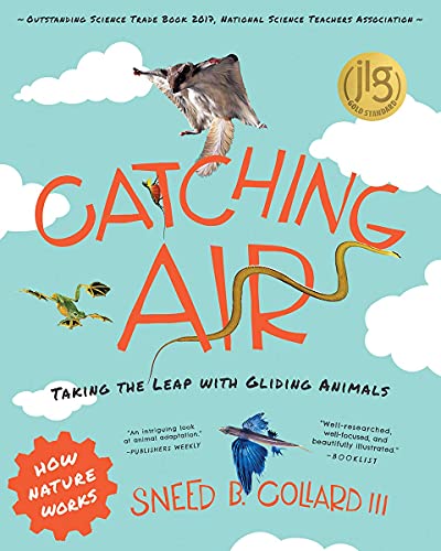 Catching Air Taking the Leap with Gliding Animals [Paperback]