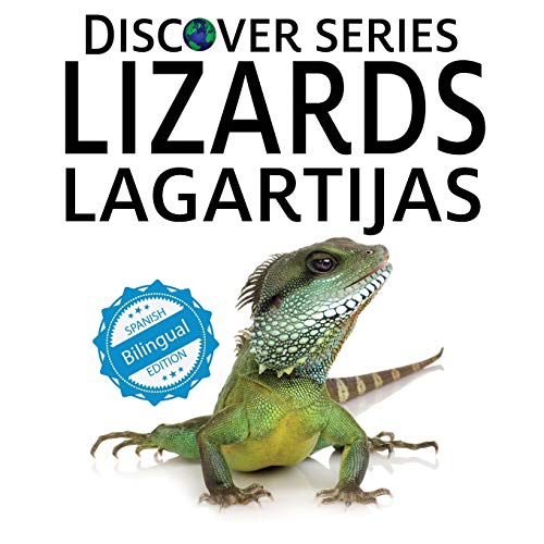 Lizards / Lagartijas [Paperback]