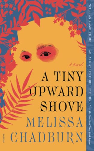 A Tiny Upward Shove A Novel [Paperback]
