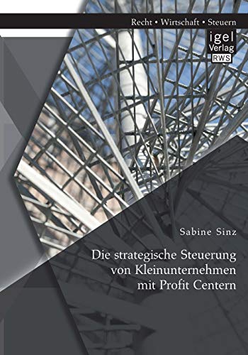 Die Strategische Steuerung Von Kleinunternehmen Mit Profit Centern (german Editi [Paperback]