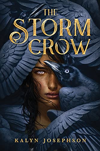 The Storm Crow [Hardcover]