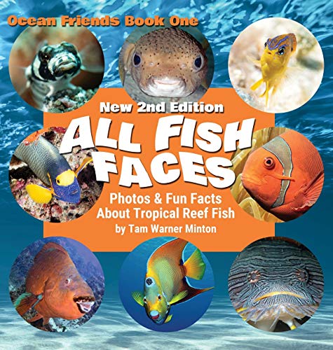 All Fish Faces  Photos and Fun Facts about Tropical Reef Fish [Hardcover]