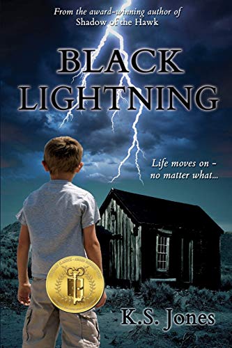 Black Lightning [Paperback]