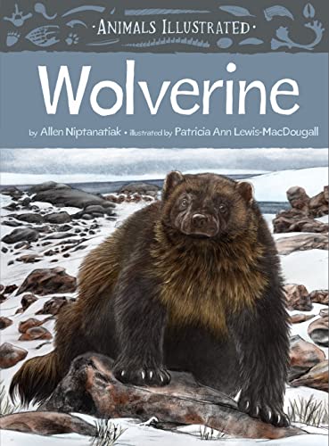 Animals Illustrated Wolverine [Hardcover]