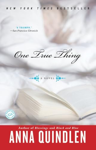 One True Thing A Novel [Paperback]