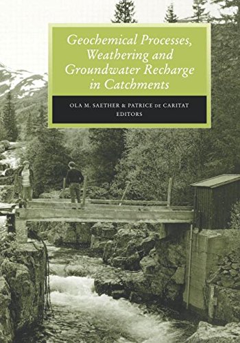 Geochemical Processes, Weathering and Groundwater Recharge in Catchments [Hardcover]