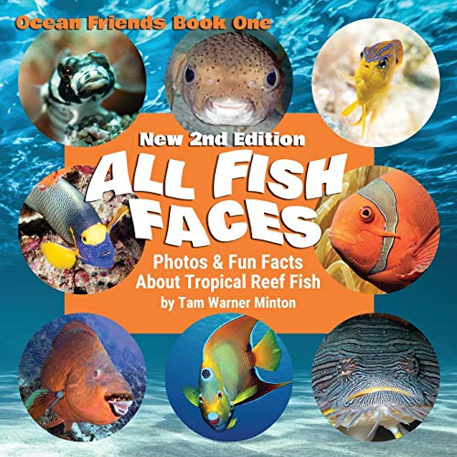 All Fish Faces  Photos and Fun Facts about Tropical Reef Fish [Paperback]
