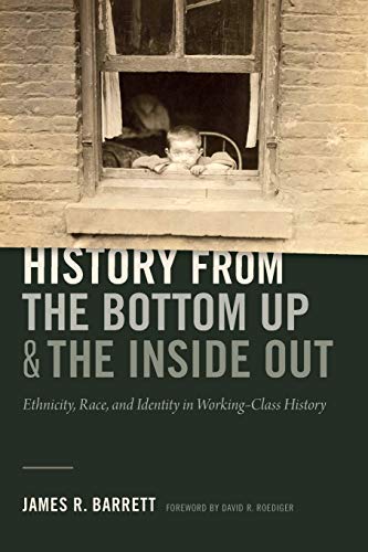 History From The Bottom Up And The Inside Out Ethnicity, Race, And Identity In  [Paperback]