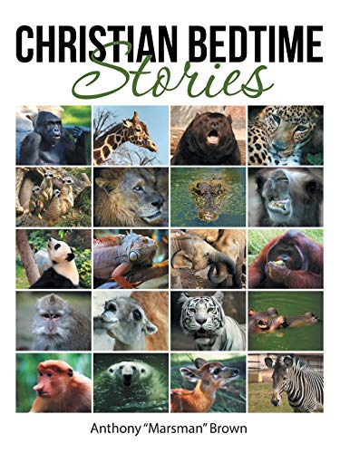 Christian Bedtime Stories [Paperback]