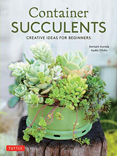 Container Succulents Creative Ideas for Beginners [Paperback]