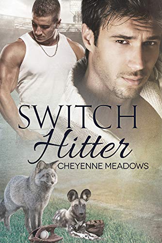 Switch Hitter [Paperback]