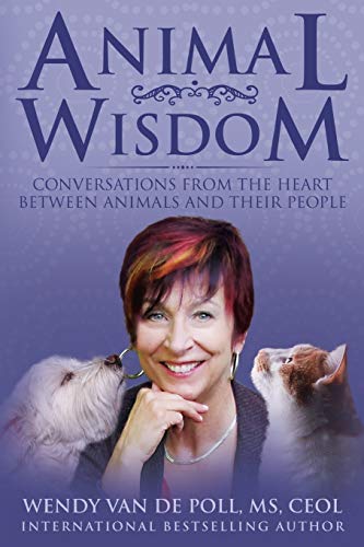 Animal Wisdom  Conversations of the Heart Between Animals and Their People [Paperback]