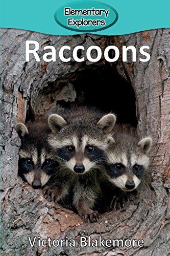 Raccoons (elementary Explorers) [Paperback]