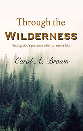 Through The Wilderness Finding God's Presence When All Seems Lost. [Paperback]