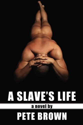 A Slave's Life [Paperback]