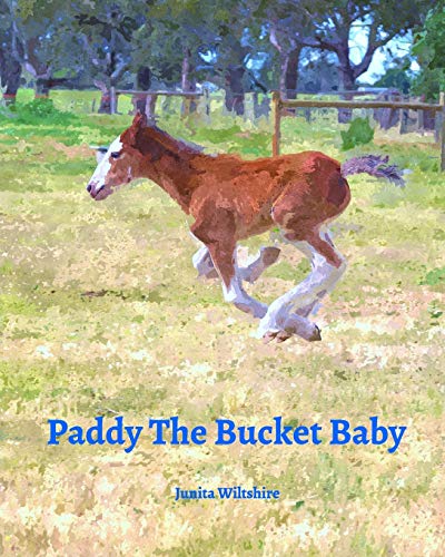Paddy The Bucket Baby [Paperback]